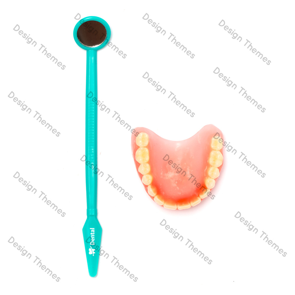 Denture Brushes